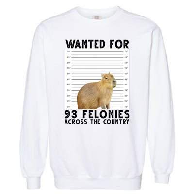 Capybara Mugshot Wanted For 93 Felonies Across The Country Garment-Dyed Sweatshirt