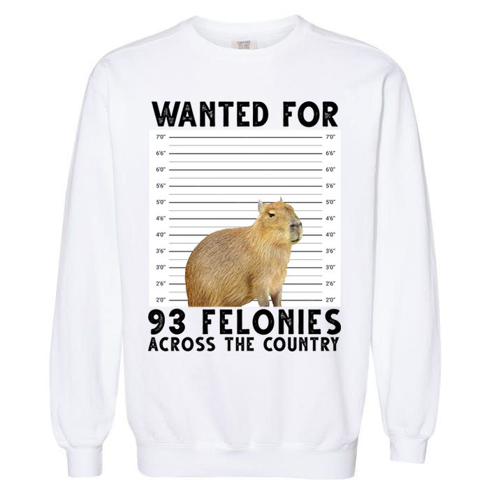 Capybara Mugshot Wanted For 93 Felonies Across The Country Garment-Dyed Sweatshirt