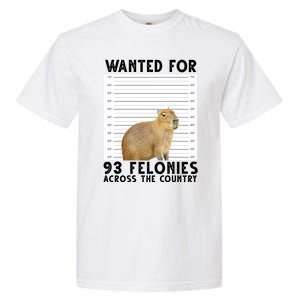 Capybara Mugshot Wanted For 93 Felonies Across The Country Garment-Dyed Heavyweight T-Shirt