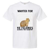 Capybara Mugshot Wanted For 93 Felonies Across The Country Garment-Dyed Heavyweight T-Shirt