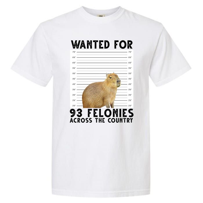 Capybara Mugshot Wanted For 93 Felonies Across The Country Garment-Dyed Heavyweight T-Shirt