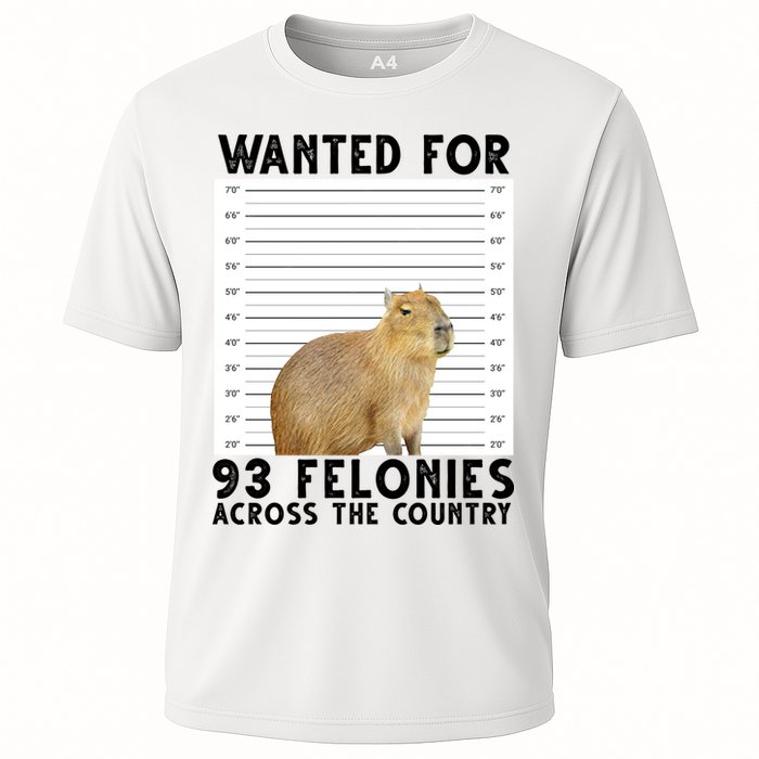 Capybara Mugshot Wanted For 93 Felonies Across The Country Performance Shirt