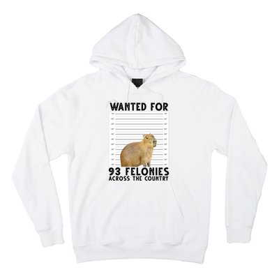 Capybara Mugshot Wanted For 93 Felonies Across The Country Hoodie