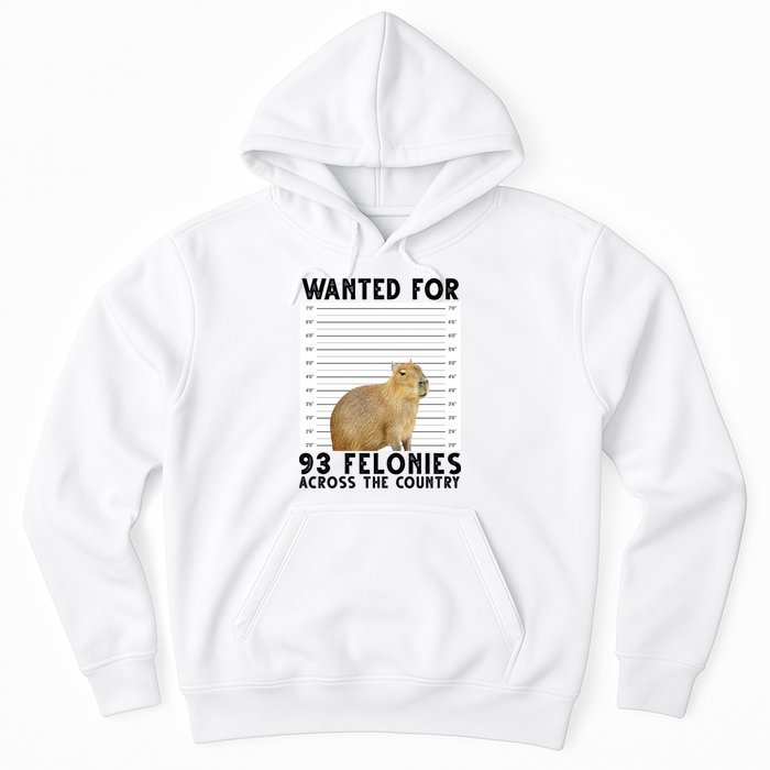 Capybara Mugshot Wanted For 93 Felonies Across The Country Hoodie
