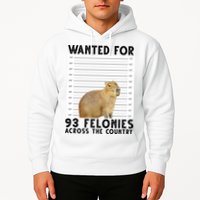 Capybara Mugshot Wanted For 93 Felonies Across The Country Hoodie