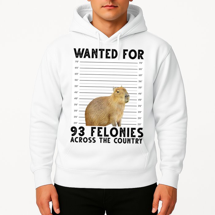Capybara Mugshot Wanted For 93 Felonies Across The Country Hoodie