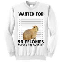 Capybara Mugshot Wanted For 93 Felonies Across The Country Sweatshirt