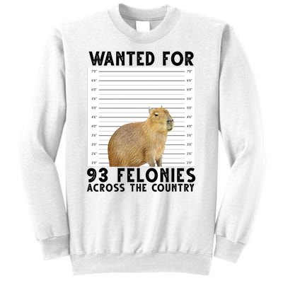 Capybara Mugshot Wanted For 93 Felonies Across The Country Sweatshirt