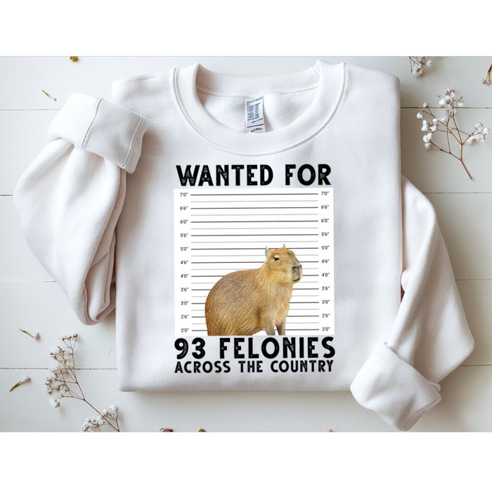 Capybara Mugshot Wanted For 93 Felonies Across The Country Sweatshirt