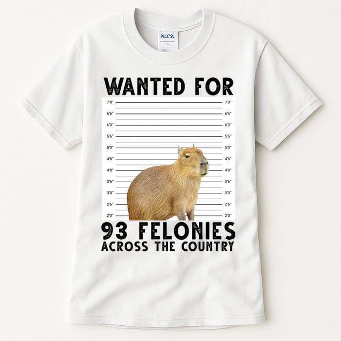 Capybara Mugshot Wanted For 93 Felonies Across The Country Tall T-Shirt