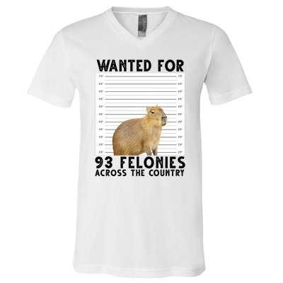 Capybara Mugshot Wanted For 93 Felonies Across The Country V-Neck T-Shirt