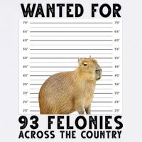 Capybara Mugshot Wanted For 93 Felonies Across The Country Mug
