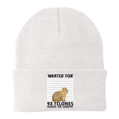 Capybara Mugshot Wanted For 93 Felonies Across The Country Beanie