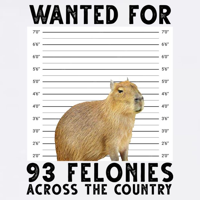 Capybara Mugshot Wanted For 93 Felonies Across The Country Flatbill Hat