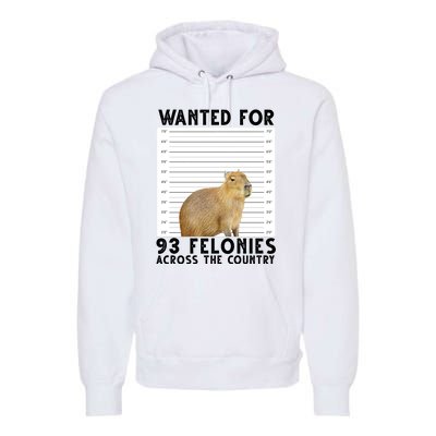 Capybara Mugshot Wanted For 93 Felonies Across The Country Premium Hoodie