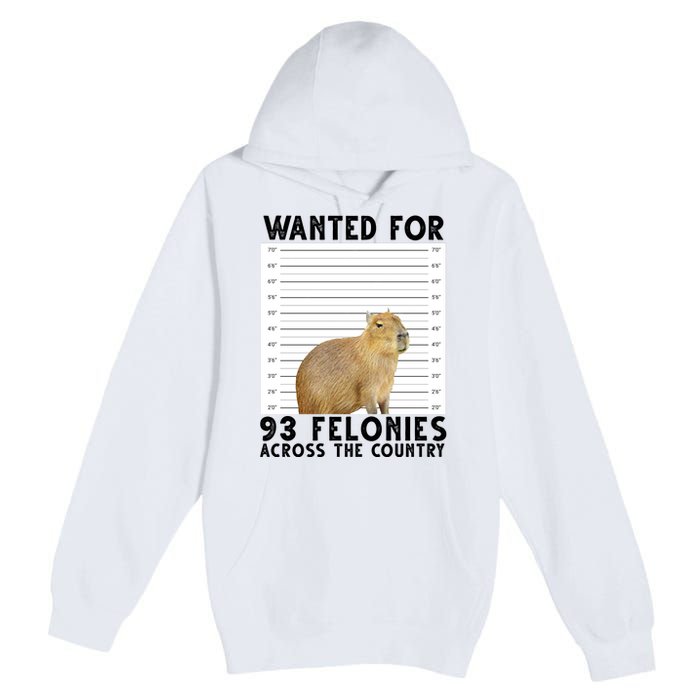 Capybara Mugshot Wanted For 93 Felonies Across The Country Premium Pullover Hoodie