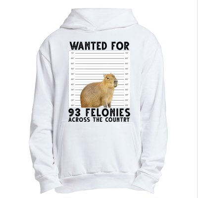 Capybara Mugshot Wanted For 93 Felonies Across The Country Urban Pullover Hoodie