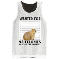 Capybara Mugshot Wanted For 93 Felonies Across The Country Mesh Reversible Basketball Jersey Tank