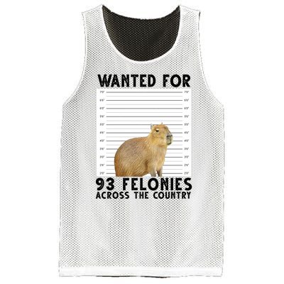 Capybara Mugshot Wanted For 93 Felonies Across The Country Mesh Reversible Basketball Jersey Tank