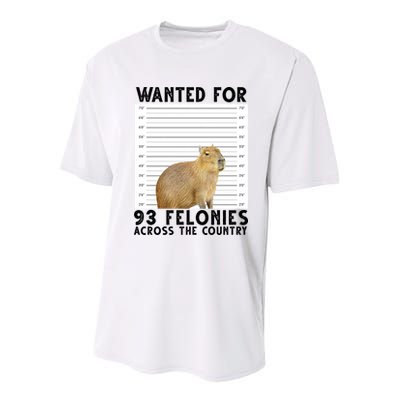 Capybara Mugshot Wanted For 93 Felonies Across The Country Youth Performance Sprint T-Shirt