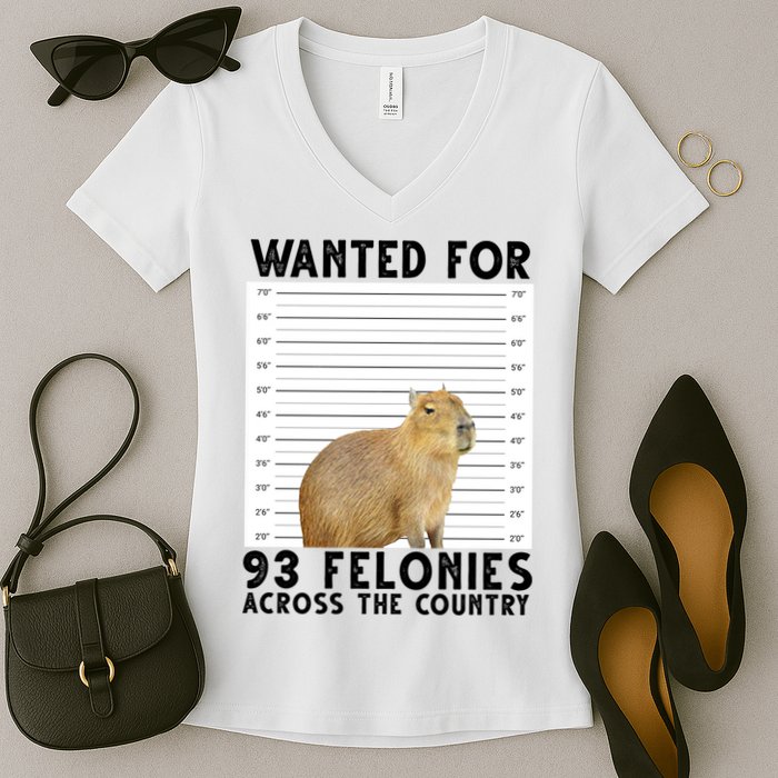 Capybara Mugshot Wanted For 93 Felonies Across The Country Women's V-Neck T-Shirt