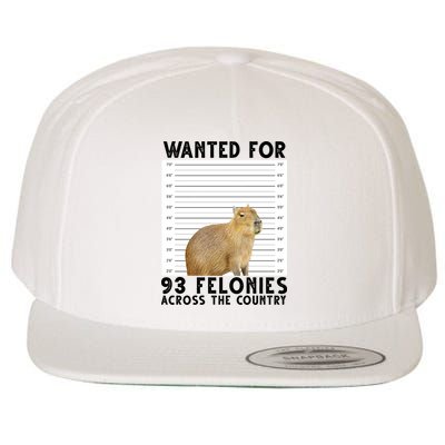 Capybara Mugshot Wanted For 93 Felonies Across The Country Wool Snapback Cap