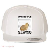 Capybara Mugshot Wanted For 93 Felonies Across The Country Wool Snapback Cap