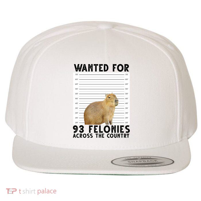 Capybara Mugshot Wanted For 93 Felonies Across The Country Wool Snapback Cap