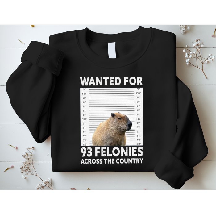 Capybara Mugshot Wanted For 93 Felonies Across The Country Sweatshirt
