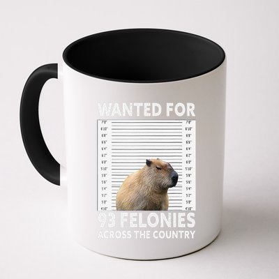 Capybara Mugshot Wanted For 93 Felonies Across The Country Mug