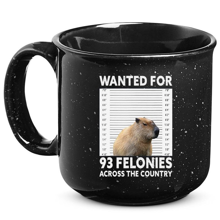 Capybara Mugshot Wanted For 93 Felonies Across The Country 15oz Campfire Ceramic Mug