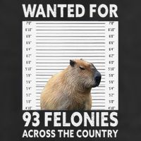 Capybara Mugshot Wanted For 93 Felonies Across The Country 15oz Campfire Ceramic Mug