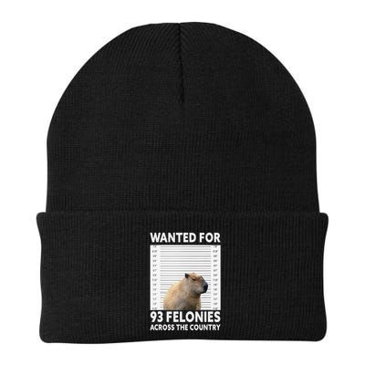 Capybara Mugshot Wanted For 93 Felonies Across The Country Beanie