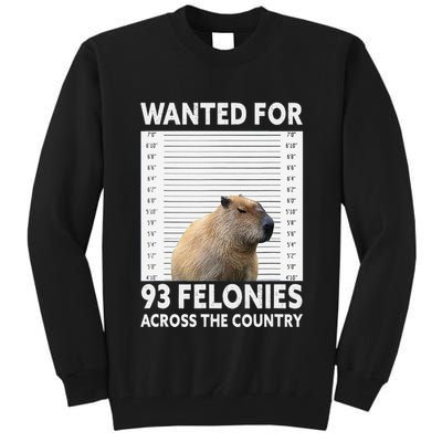 Capybara Mugshot Wanted For 93 Felonies Across The Country Tall Sweatshirt