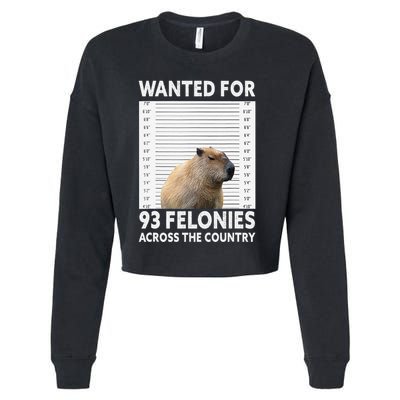 Capybara Mugshot Wanted For 93 Felonies Across The Country Cropped Pullover Crew