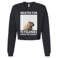 Capybara Mugshot Wanted For 93 Felonies Across The Country Cropped Pullover Crew