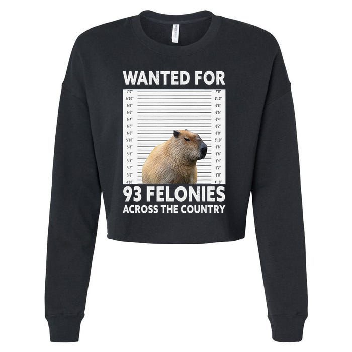 Capybara Mugshot Wanted For 93 Felonies Across The Country Cropped Pullover Crew