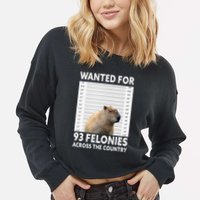 Capybara Mugshot Wanted For 93 Felonies Across The Country Cropped Pullover Crew