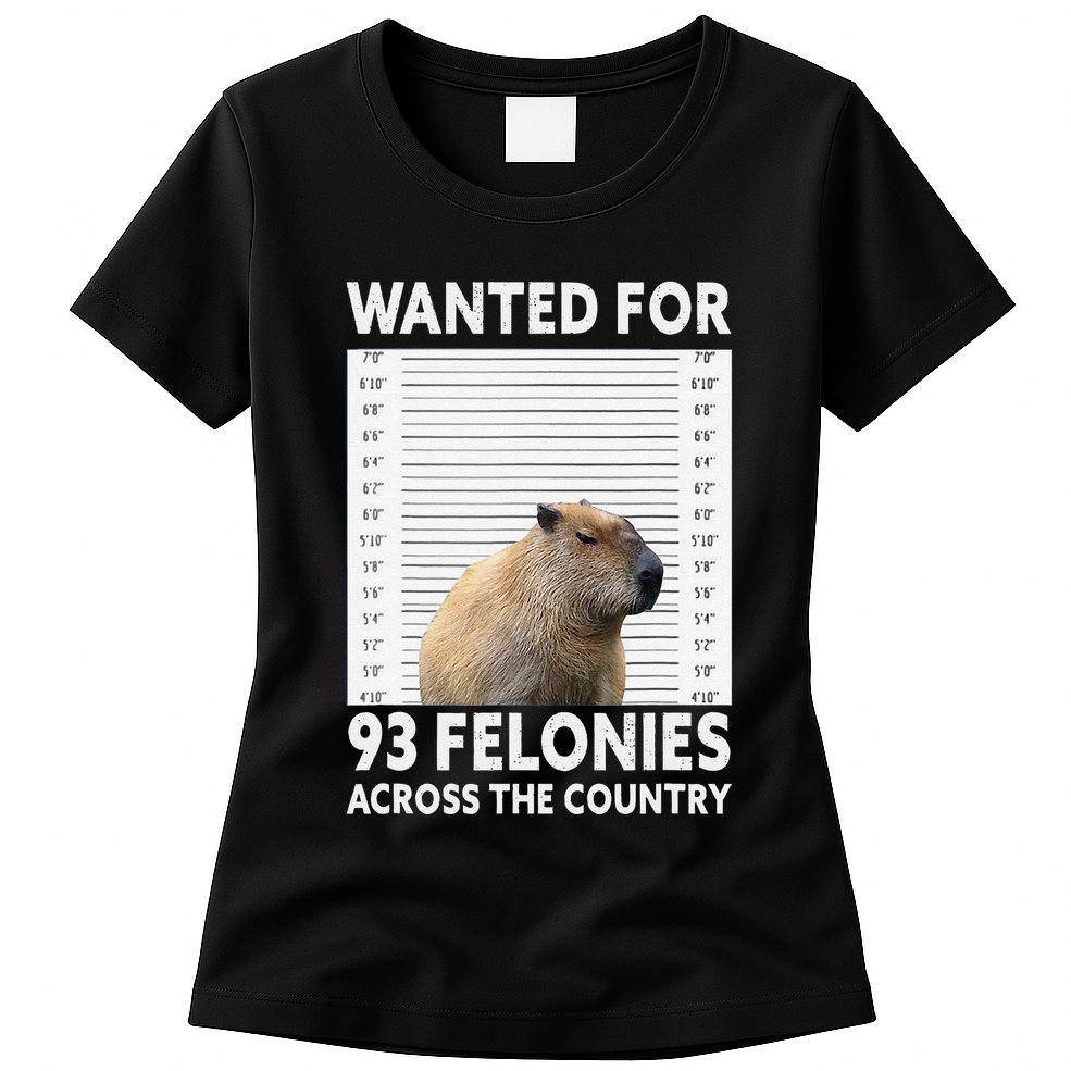 Capybara Mugshot Wanted For 93 Felonies Across The Country Womens T-Shirt