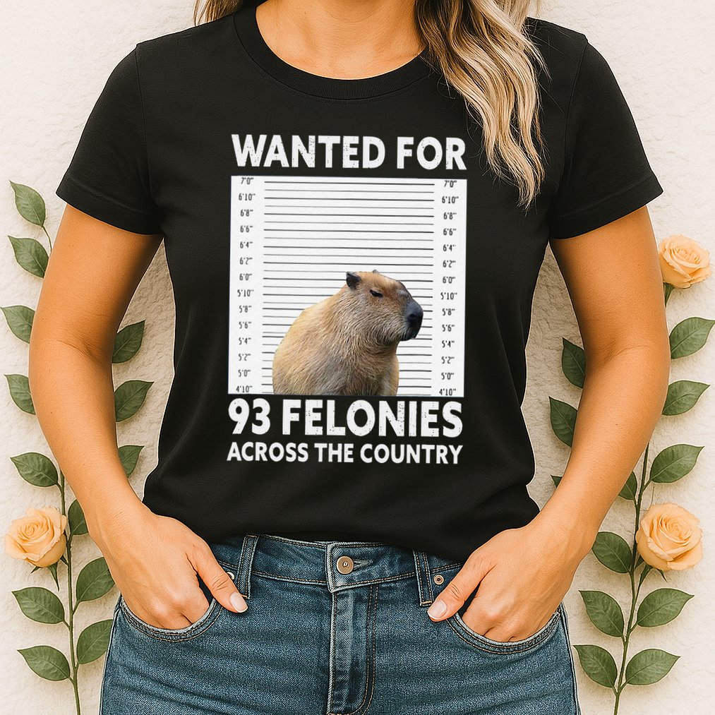Capybara Mugshot Wanted For 93 Felonies Across The Country Womens T-Shirt