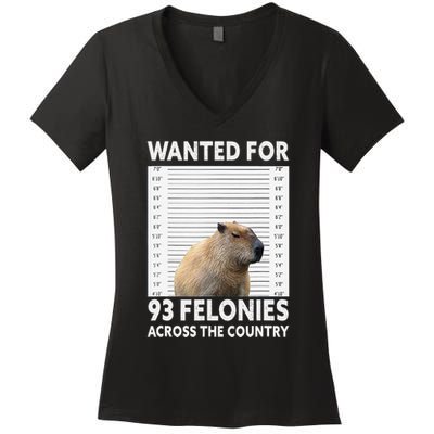 Capybara Mugshot Wanted For 93 Felonies Across The Country Women's V-Neck T-Shirt