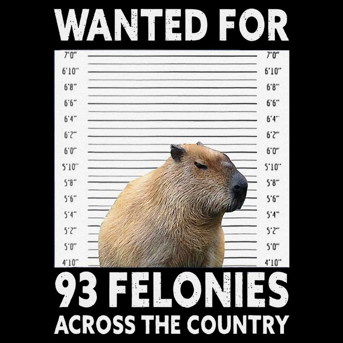 Capybara Mugshot Wanted For 93 Felonies Across The Country Short Acrylic Beanie