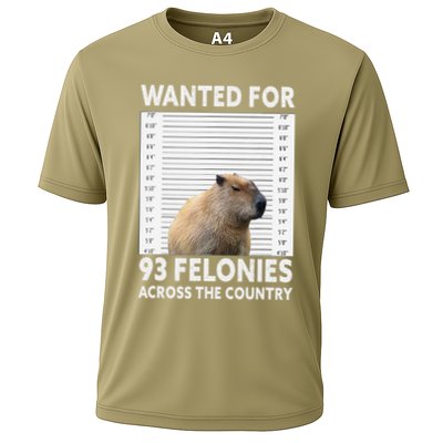 Capybara Mugshot Wanted For 93 Felonies Across The Country Performance Shirt