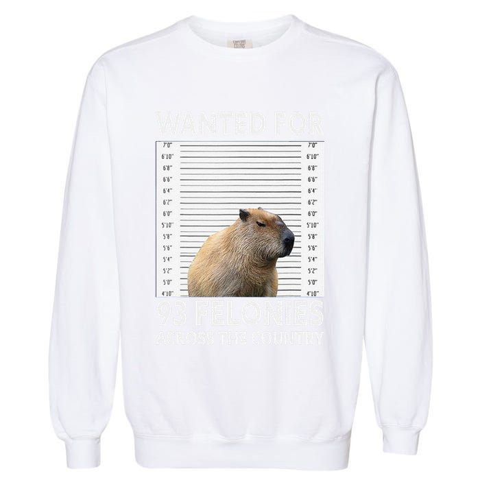 Capybara Mugshot Wanted For 93 Felonies Across The Country Garment-Dyed Sweatshirt