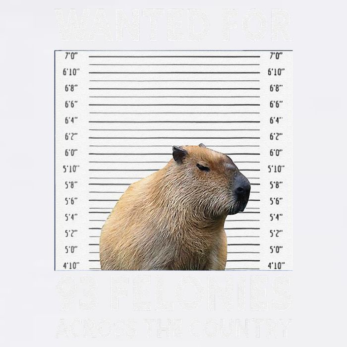 Capybara Mugshot Wanted For 93 Felonies Across The Country Garment-Dyed Sweatshirt
