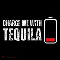 Charge Me With Tequila Funny Tequila Drinking Lover Flexfit Unipanel Trucker Cap