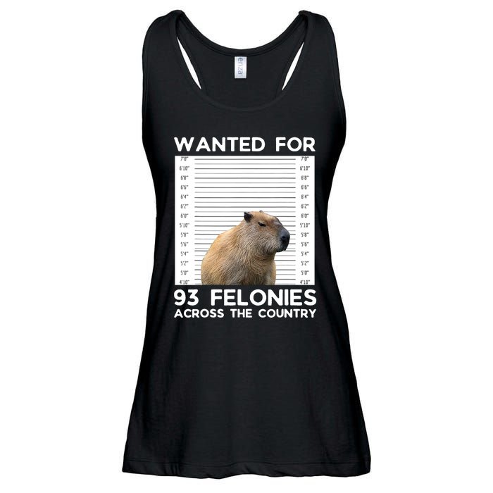 Capybara Mugshot Wanted For 93 Felonies Across The Country Ladies Essential Flowy Tank