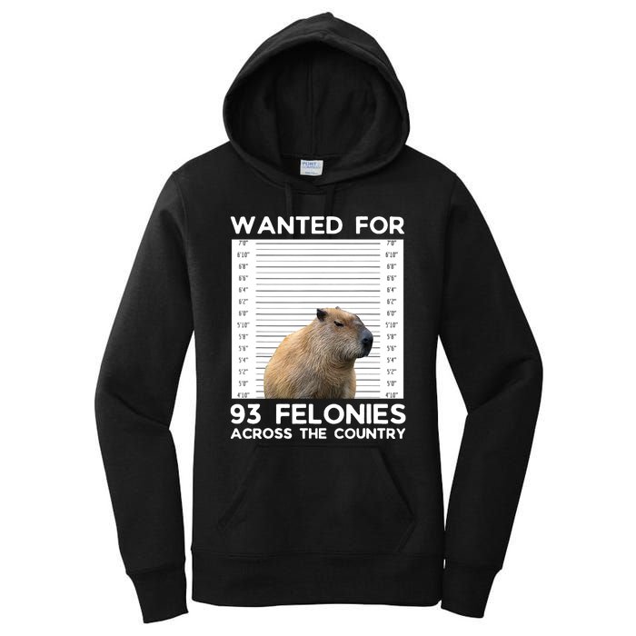 Capybara Mugshot Wanted For 93 Felonies Across The Country Women's Pullover Hoodie