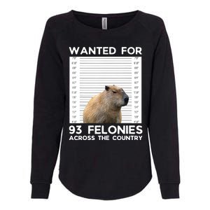 Capybara Mugshot Wanted For 93 Felonies Across The Country Womens California Wash Sweatshirt