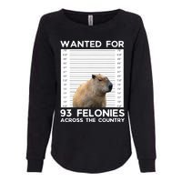 Capybara Mugshot Wanted For 93 Felonies Across The Country Womens California Wash Sweatshirt